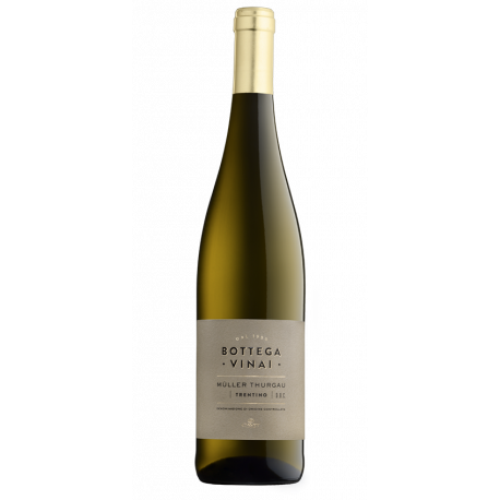 BOTTEGA VINAI MÜLLER THURGAU