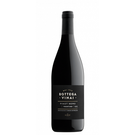 BOTTEGA VINAI PINOT NERO