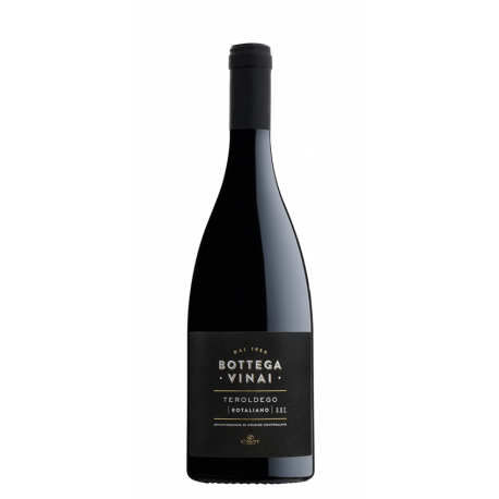 BOTTEGA VINAI TEROLDEGO ROTALIANO