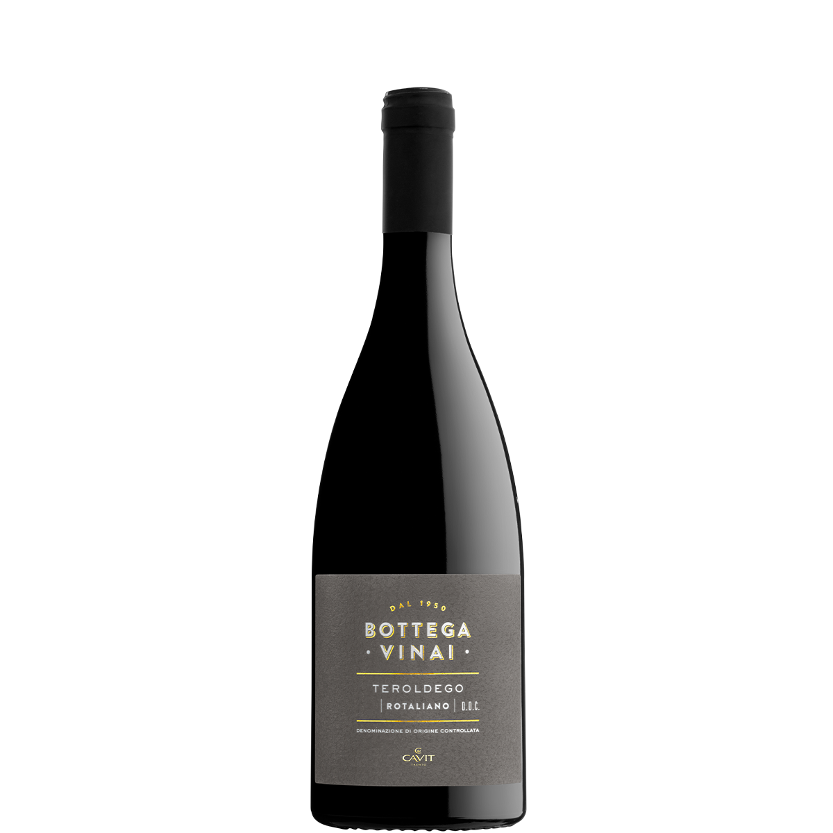 Bottega Vinai TeroldegoNuovoLogo NewColor