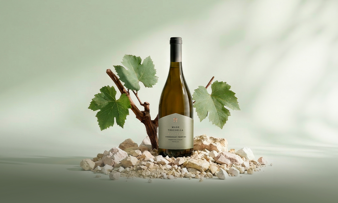 Card Linea Vini Maso Chardonnay