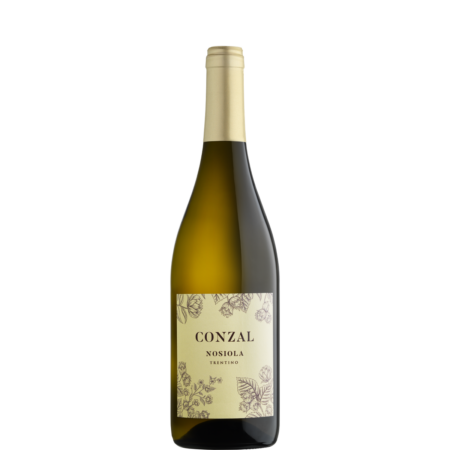 Conzal Mockup