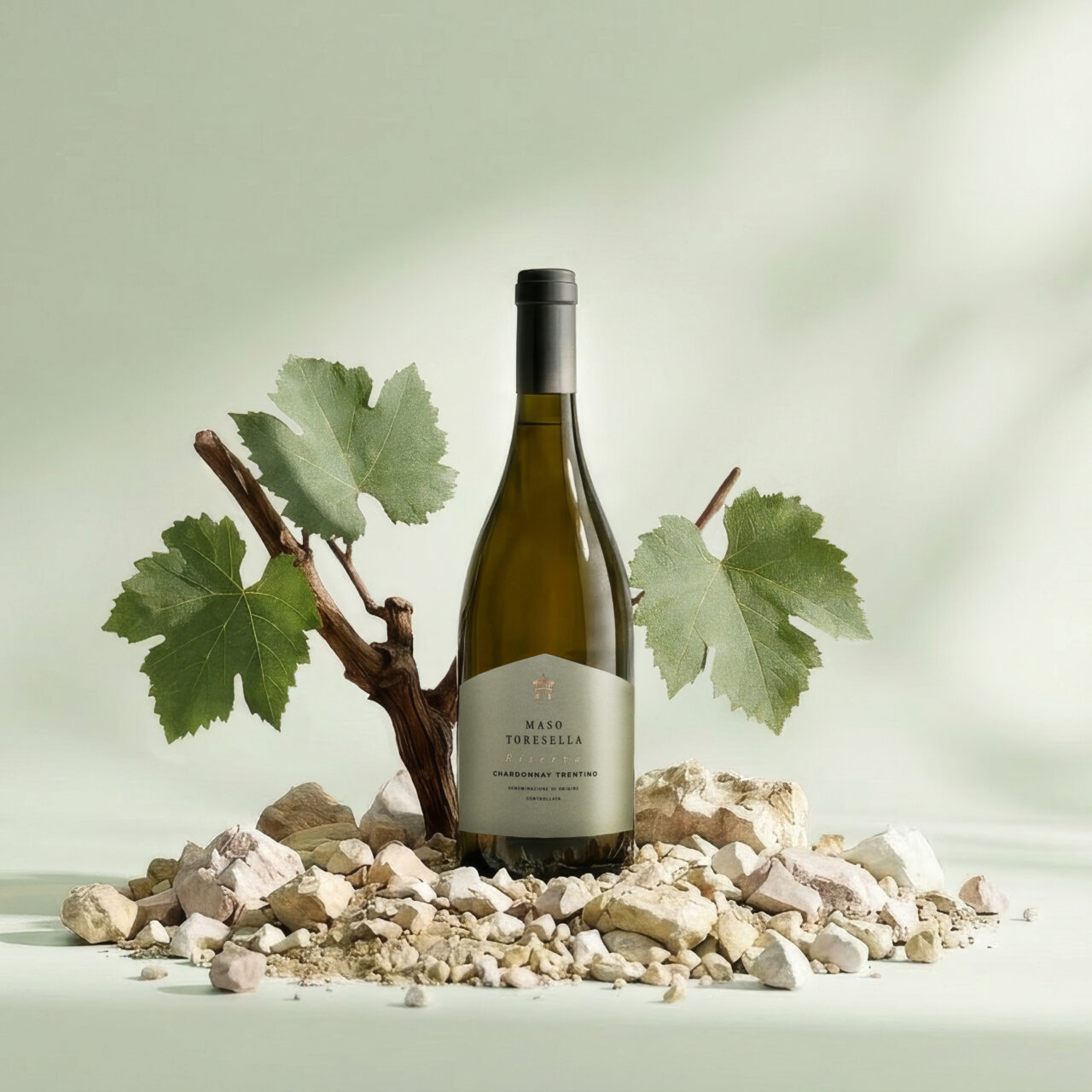 MASO TORESELLA RISERVA TRENTINO DOC CHARDONNAY Topaz Gigapixel 4x Scala