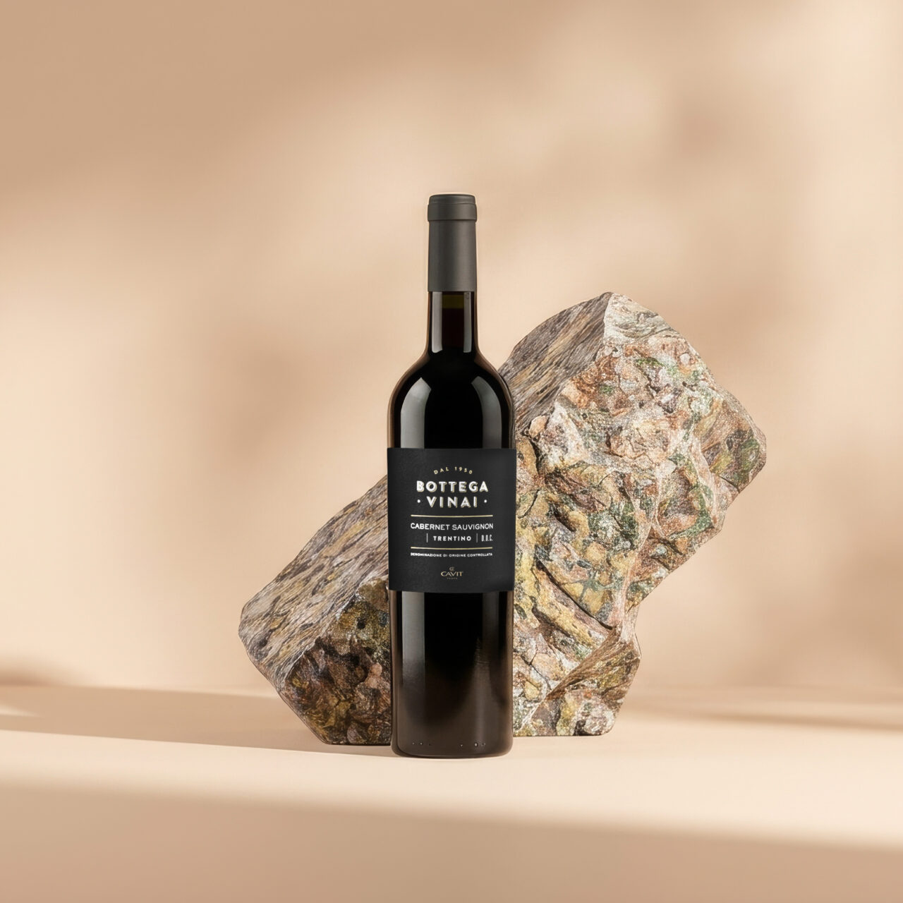 TRENTINO DOC CABERNET SAUVIGNON Topaz Gigapixel 4x Scala