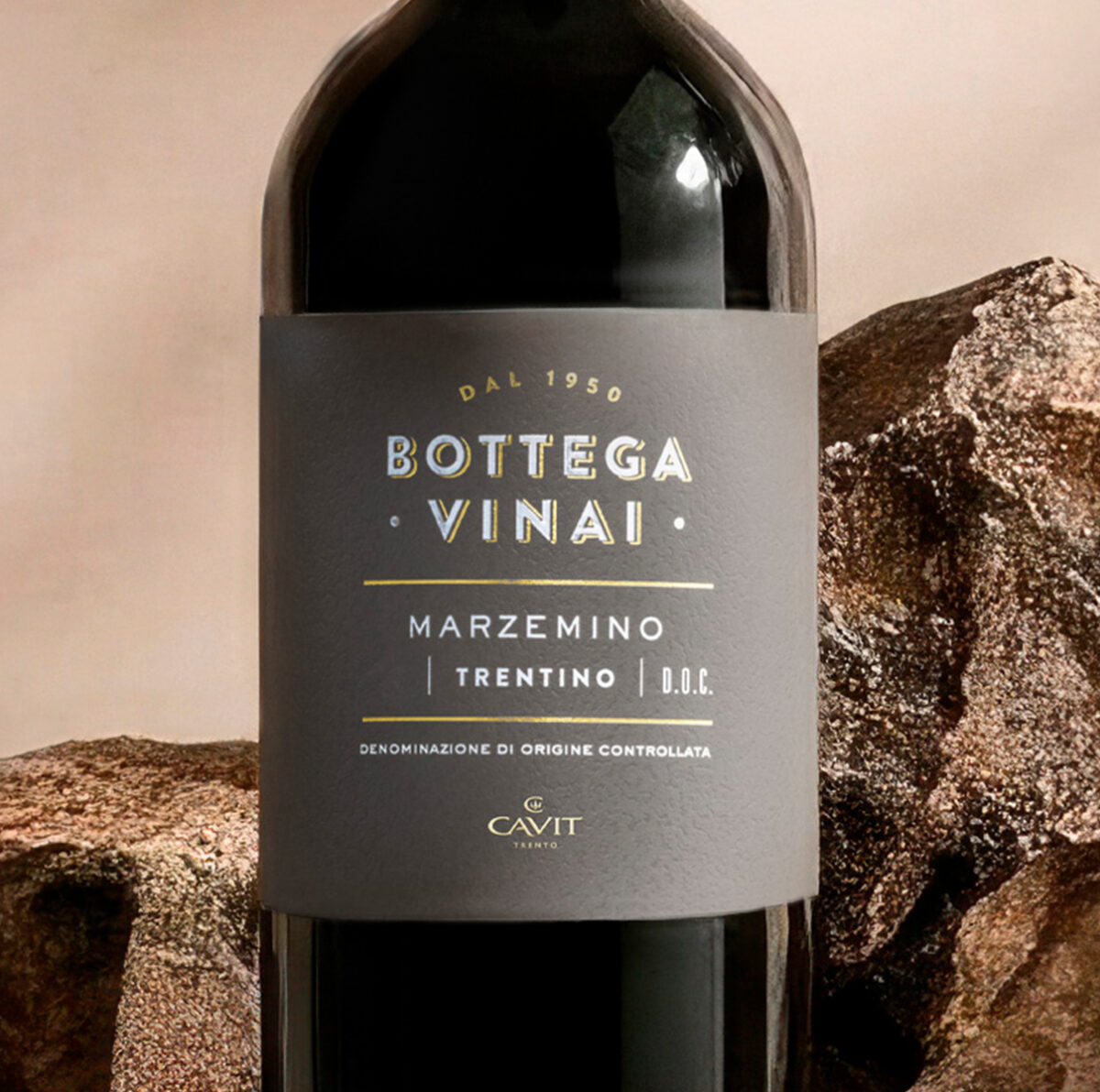 Zoom Etichette Bottega Vinai Marzemino