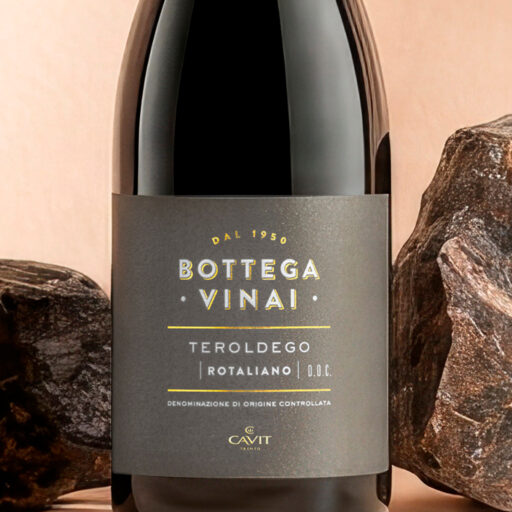 Zoom Etichette Bottega Vinai Teroldego