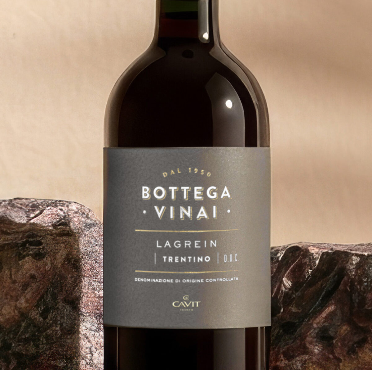 BOTTEGA VINAI Lagrein Zoom