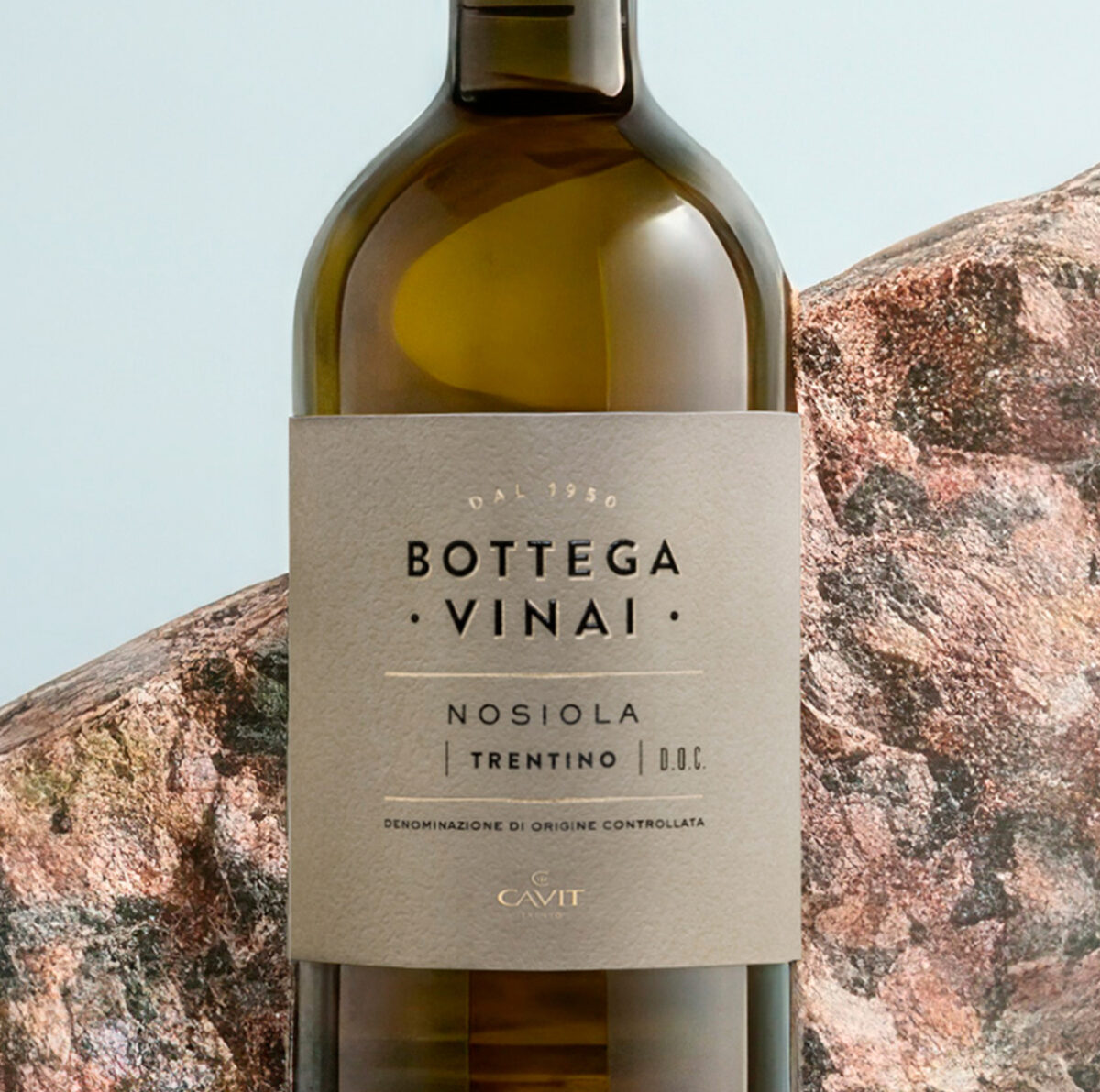 BOTTEGA VINAI Nosiola Zoom