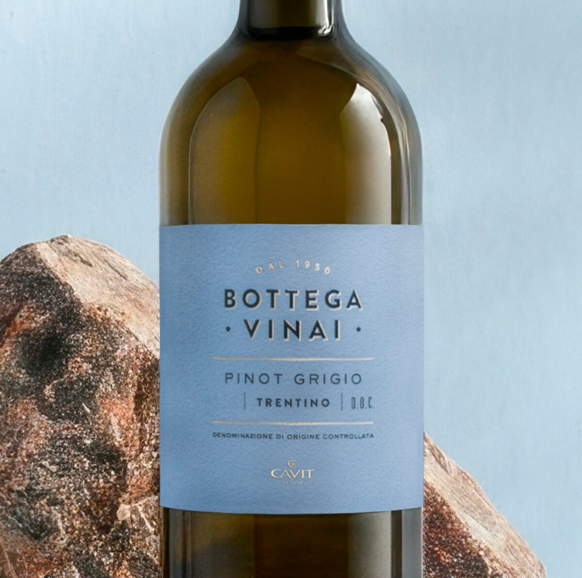 BOTTEGA VINAI Pinot Grigio Zoom