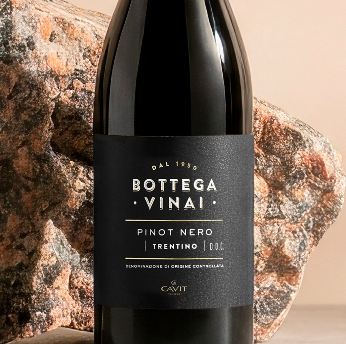 BOTTEGA VINAI Pinot Nero Zoom