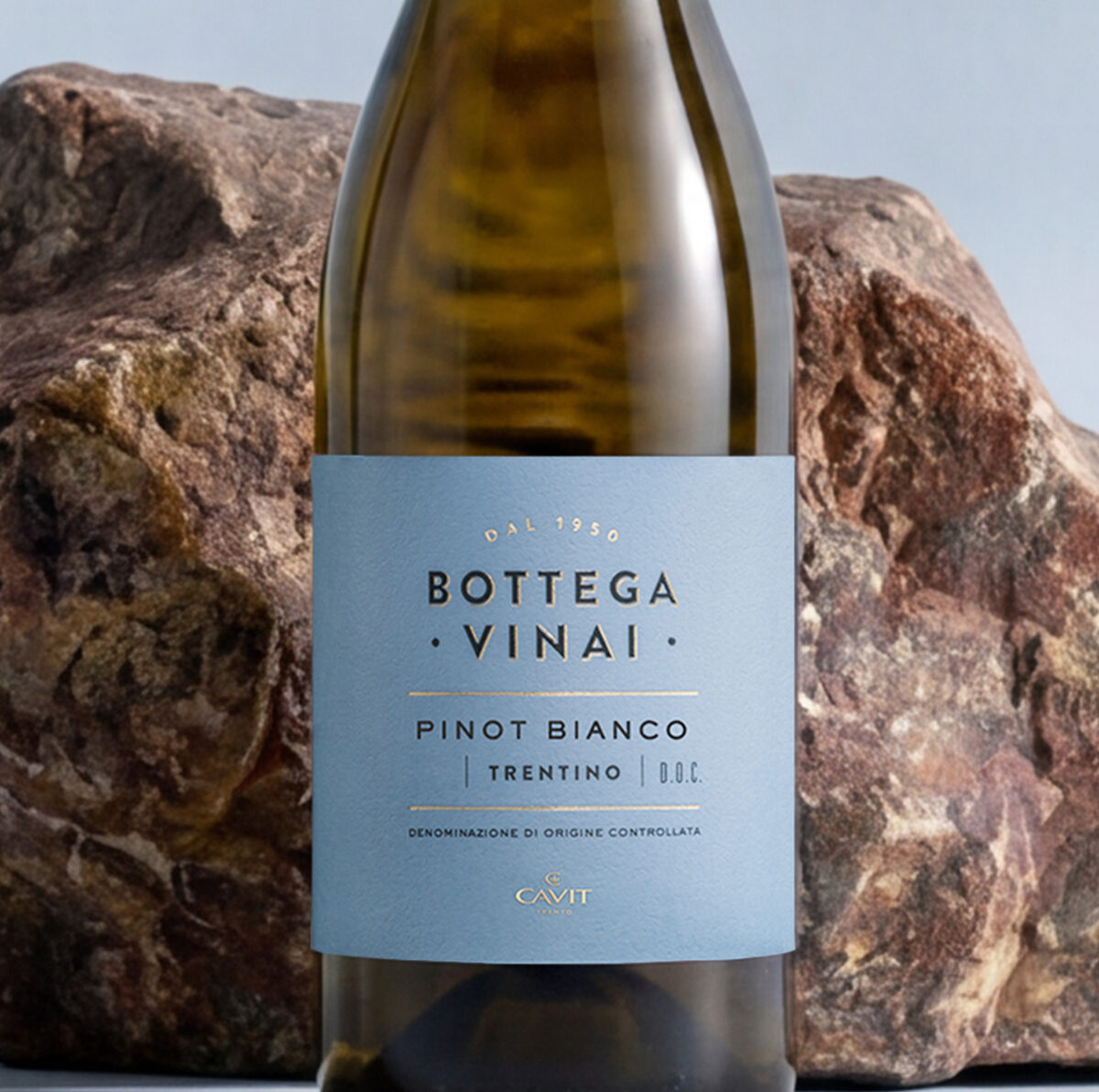 BOTTEGA VINAI Pinot Bianco