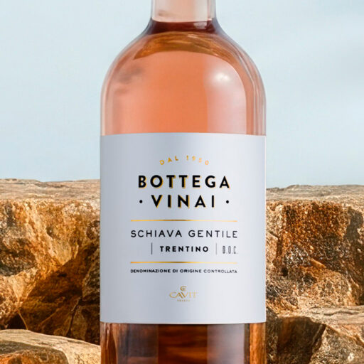 BOTTEGA VINAI Schiava Zoom