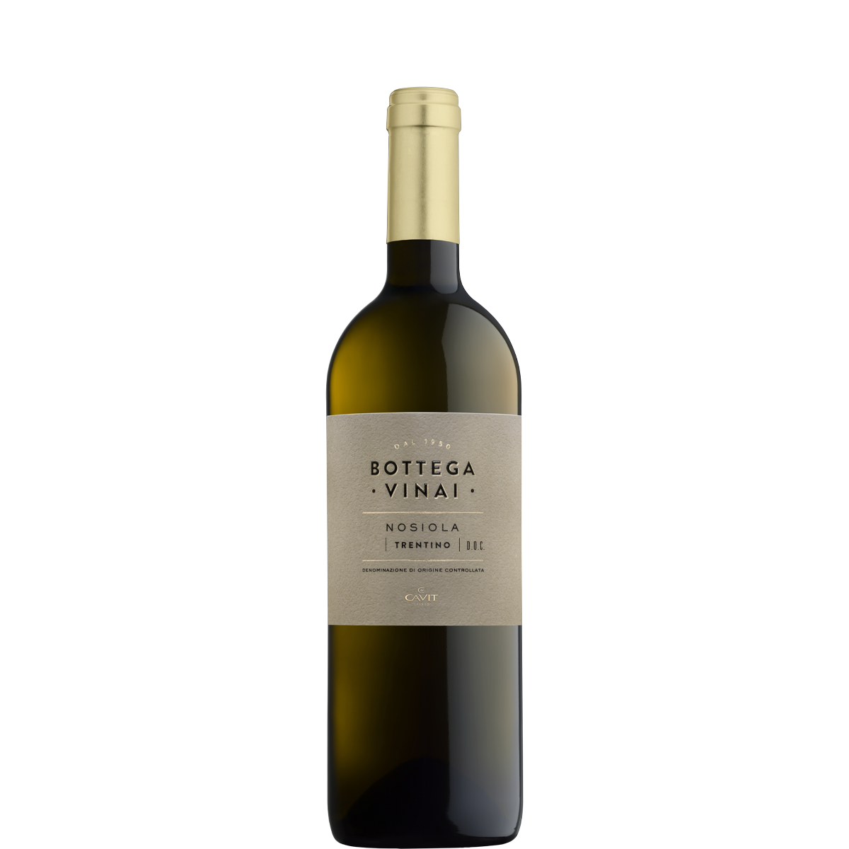 Bottega Vinai NOSIOLA NuovoLogo