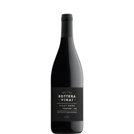 Bottega Vinai PINOT NERO NuovoLogo NewColor