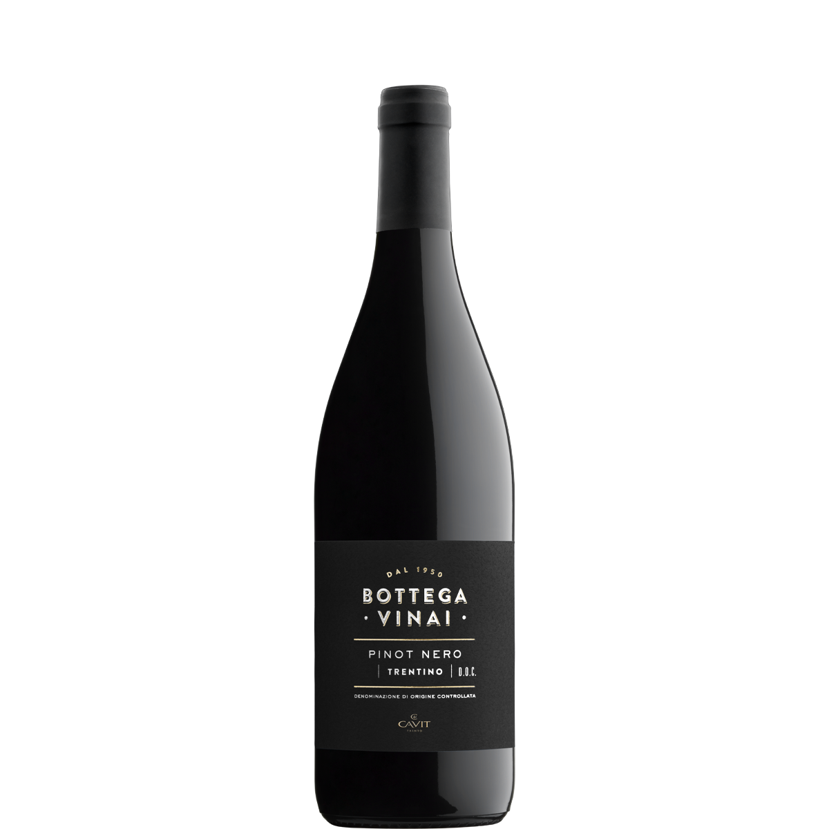 Bottega Vinai PINOT NERO NuovoLogo NewColor