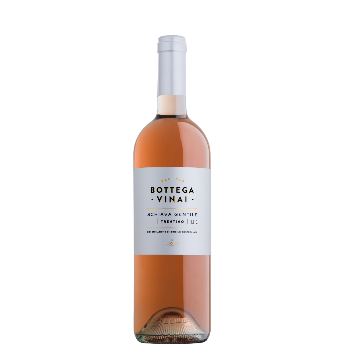 Bottega Vinai Schiava NuovoLogo
