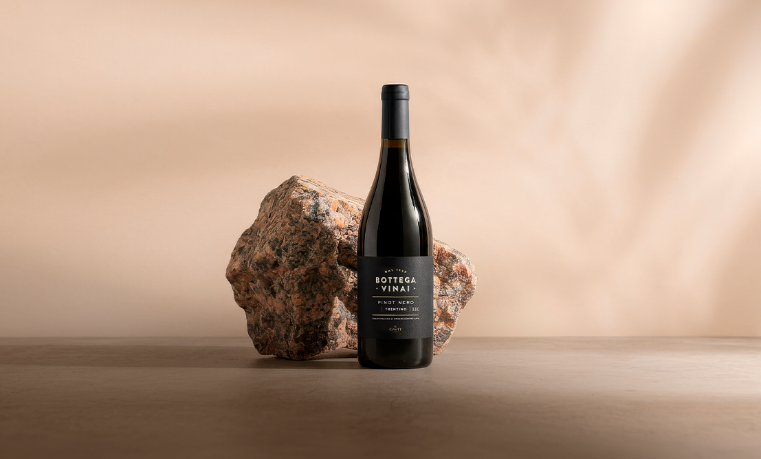 Card Linea Vini Bottega Vinai Pinot Nero