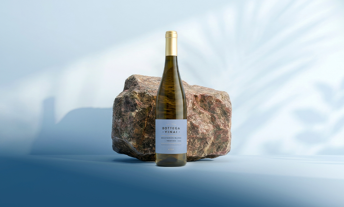 Card Linea Vini Bottega Vinai Sauvignon