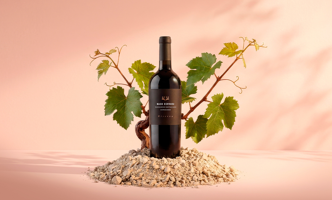 Card Linea Vini Maso Cervara