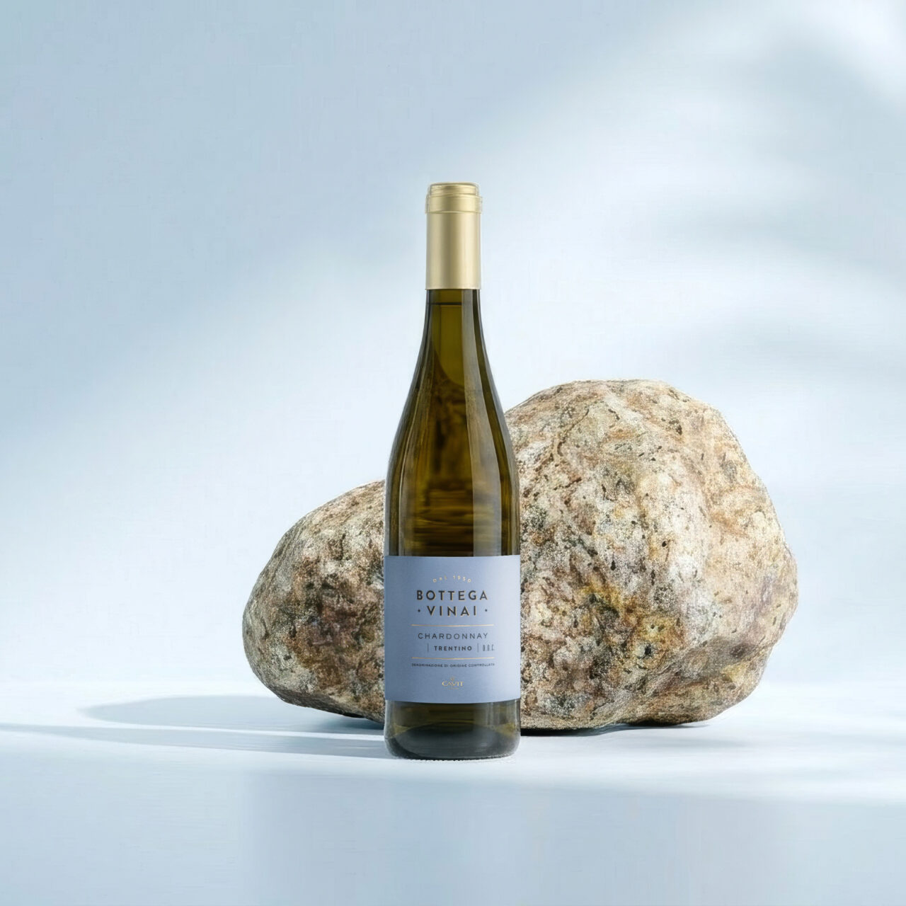 TRENTINO DOC CHARDONNAY Topaz Gigapixel 4x Scala (1)