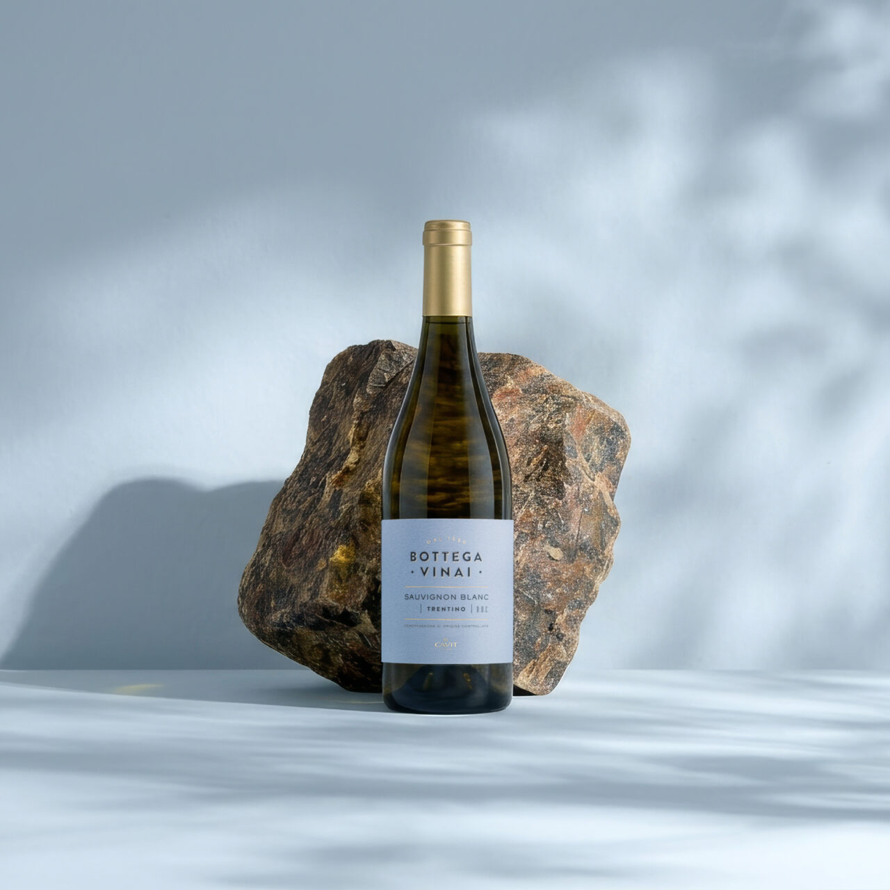 TRENTINO DOC SAUVIGNON BLANC Topaz Gigapixel 4x Scala