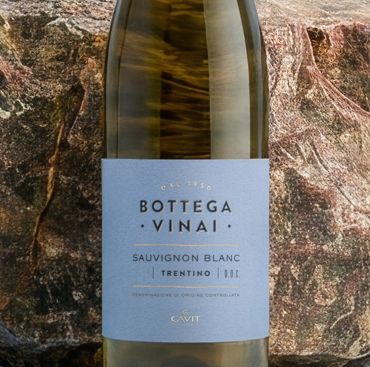 Zoom Etichette BOTTEGA VINAI Sauvignon Grande 72dpi Copia